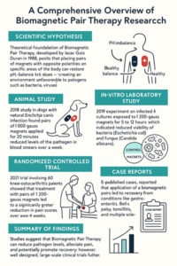 Magnetic healing therapy